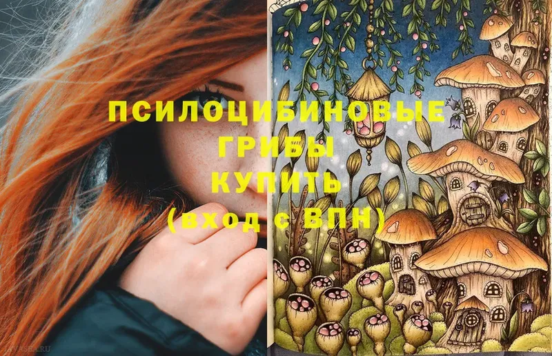 Галлюциногенные грибы Psilocybine cubensis  Вязники 